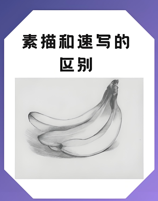 速写和素描的区别_速写和素描的